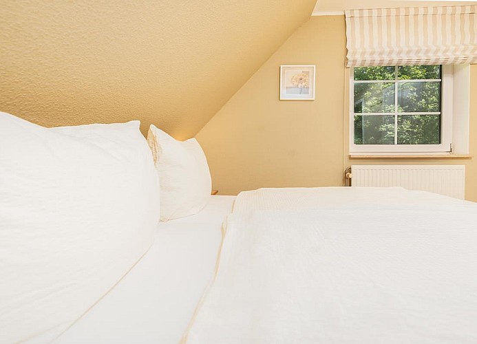 Wohnung Gänseblümchen