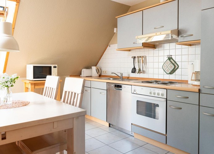 Wohnung Gänseblümchen