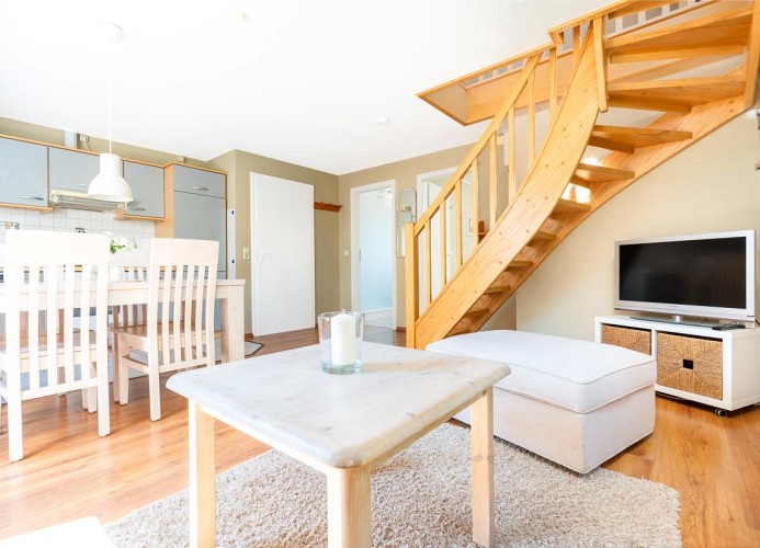 Wohnung Gänseblümchen