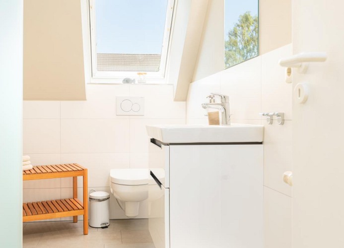 Wohnung Gänseblümchen