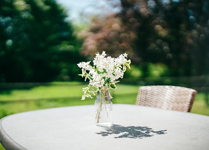 Wohnung Schlüsselblume