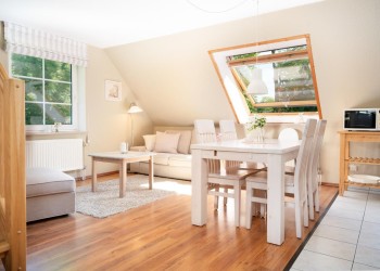 Wohnung Gänseblümchen