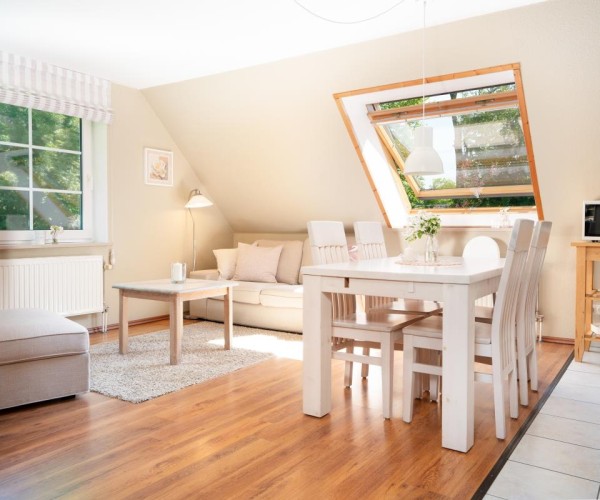 Wohnung Gänseblümchen